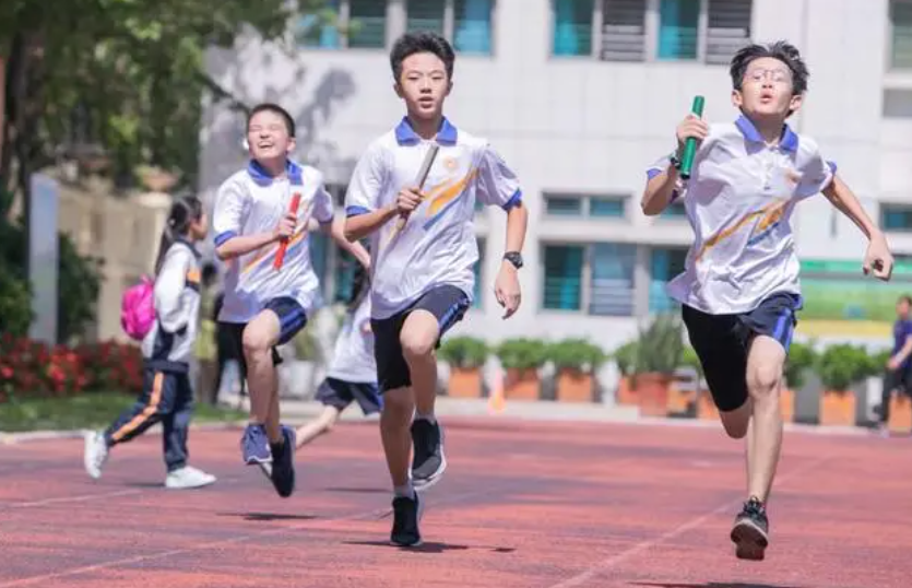 《淘宝》淘金币8.11-小学阶段的体育锻炼以哪种方式为主