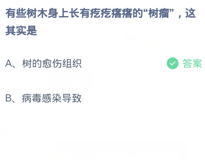 《支付宝》蚂蚁庄园2024分享汇总