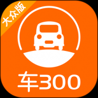 车300二手车