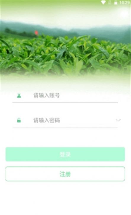 茶数茶叶产业链截图