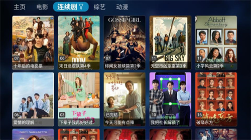 TVBOX电视版apk截图