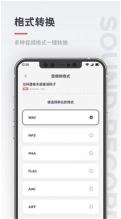 保密录音机app官方版截图