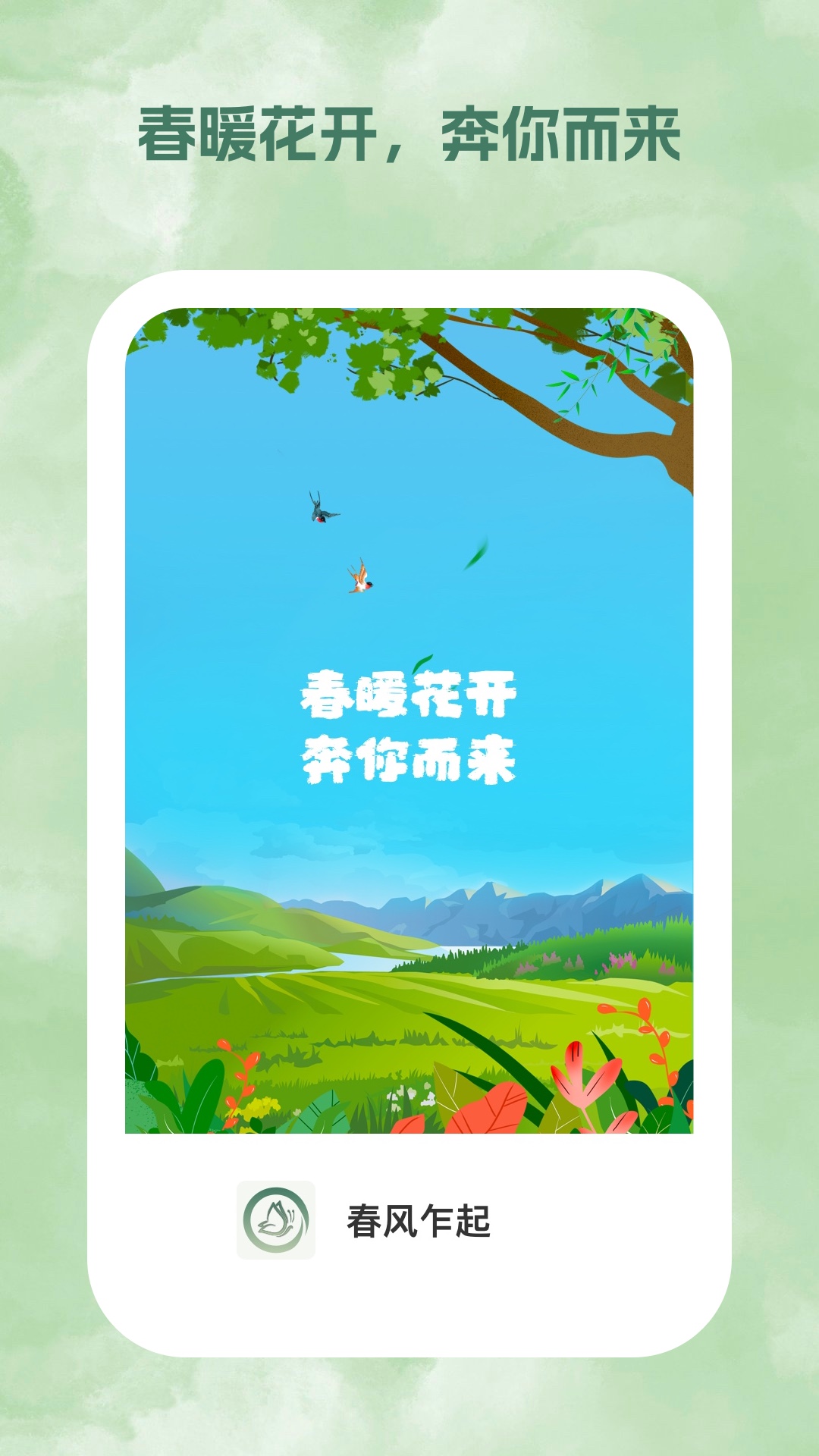 春风乍起app下载截图