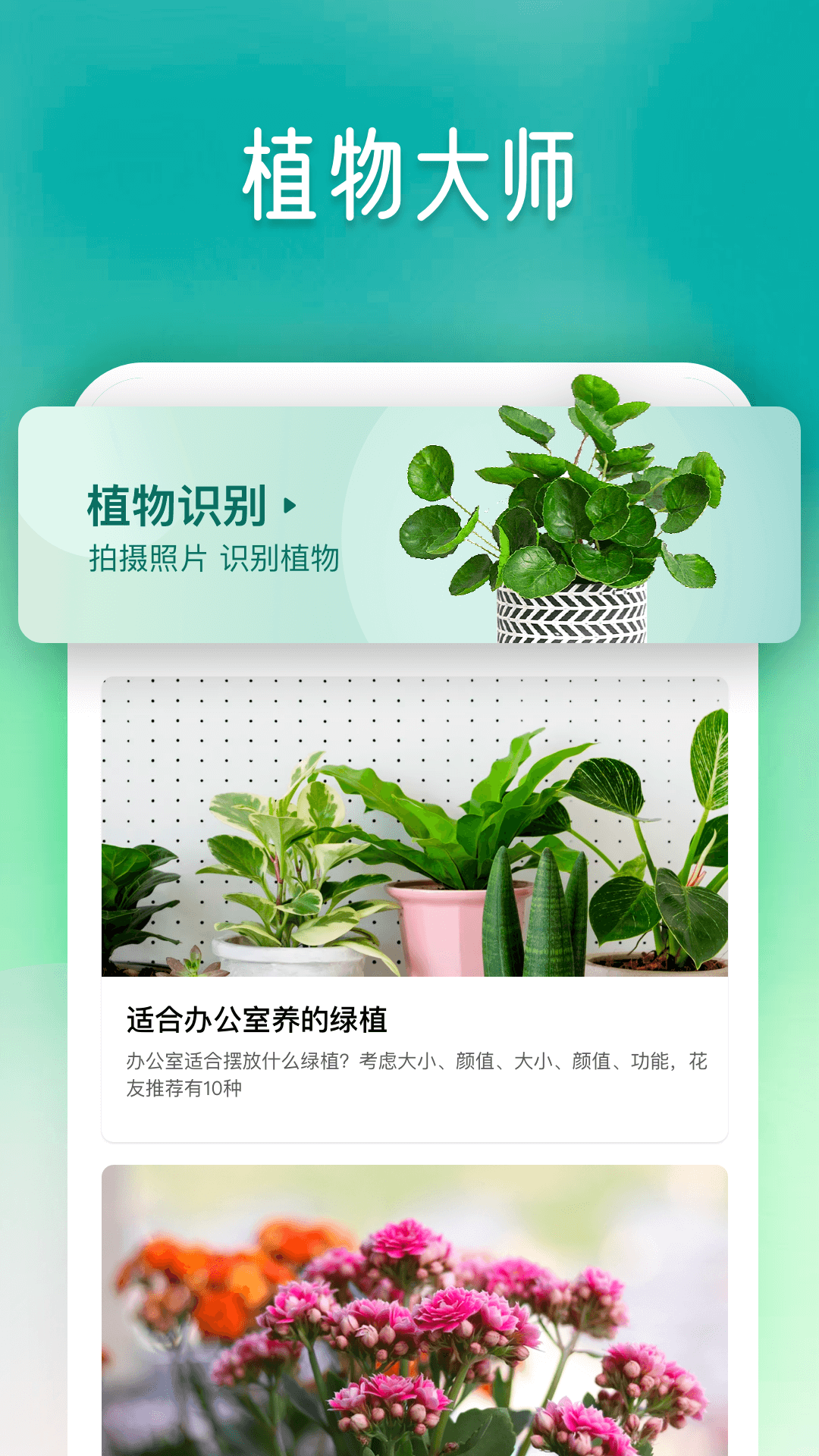 植物大师截图