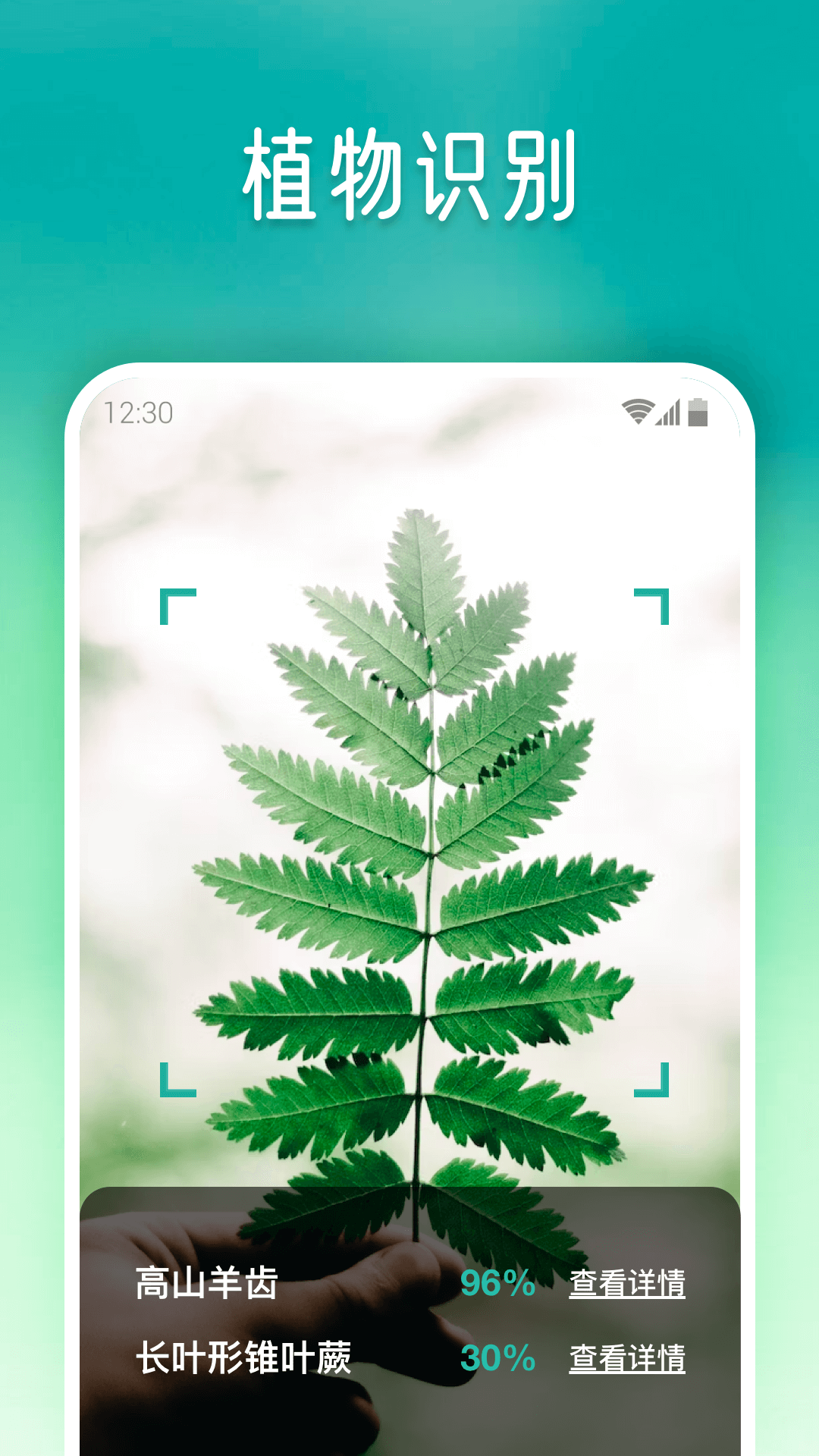 植物大师截图