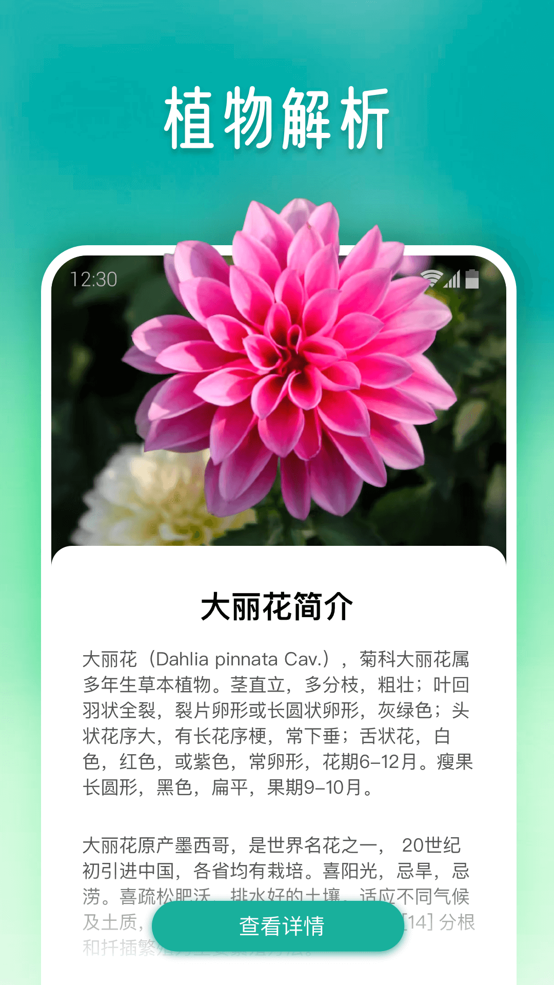 植物大师截图