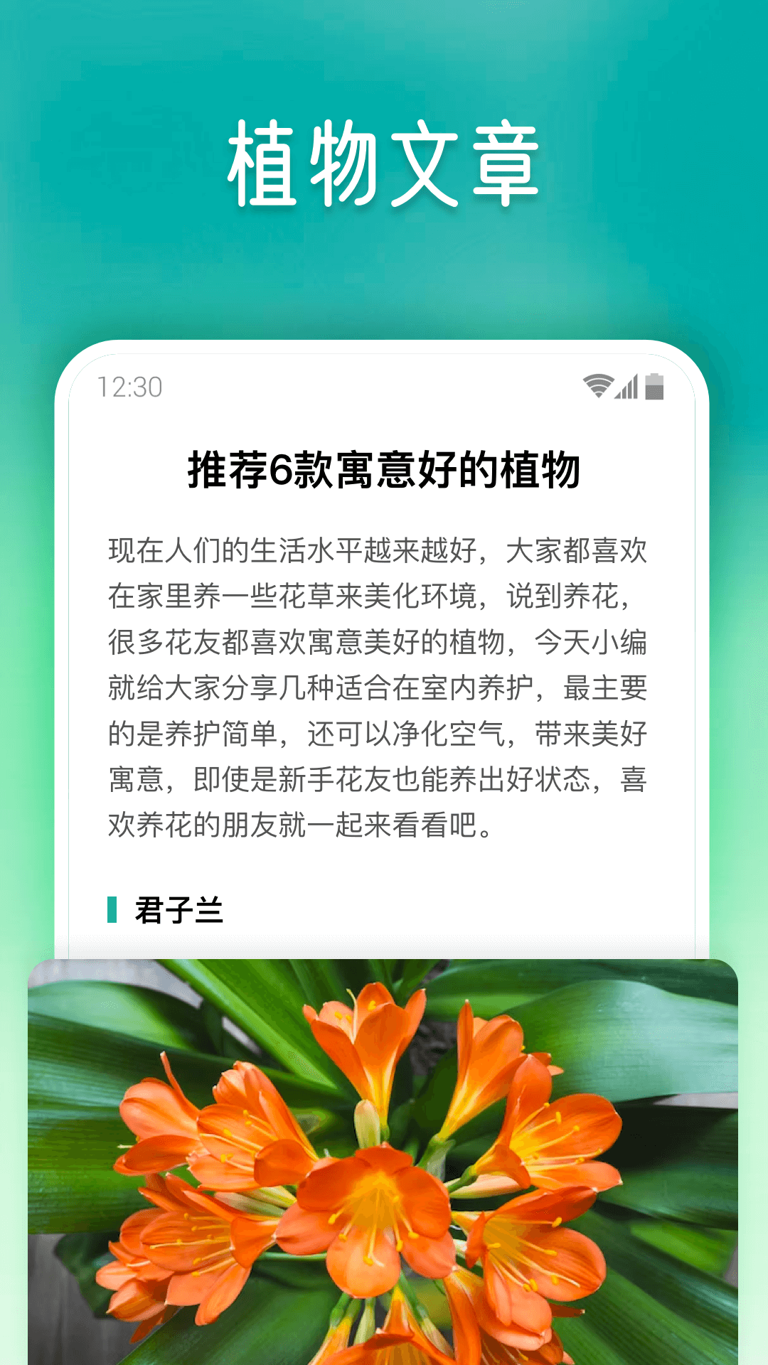 植物大师截图