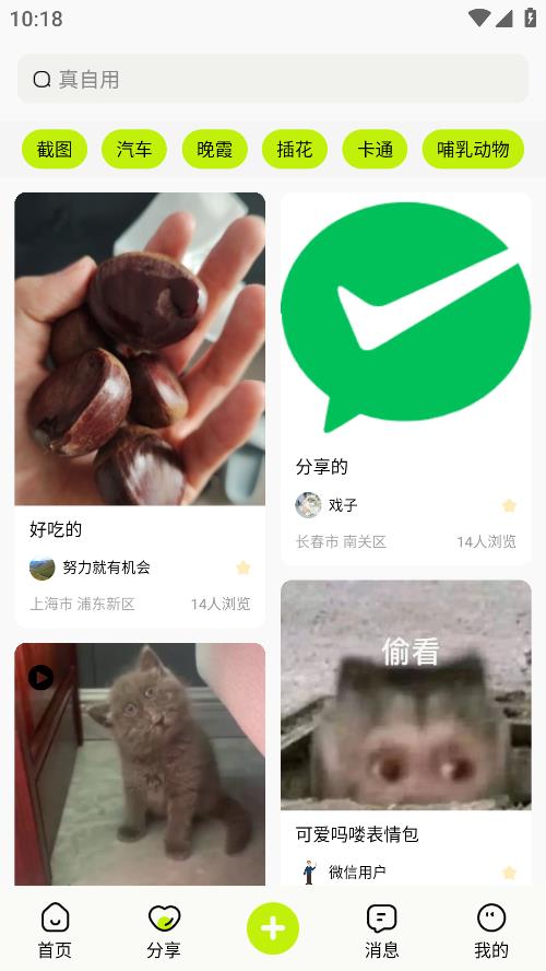 真自用截图