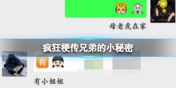 《疯狂梗传》兄弟的小秘密攻略