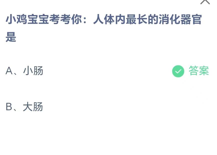 《支付宝》8.18蚂蚁庄园-人体内最长的消化器官是？