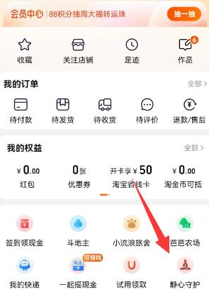 《淘宝》静心守护的作用是什么？