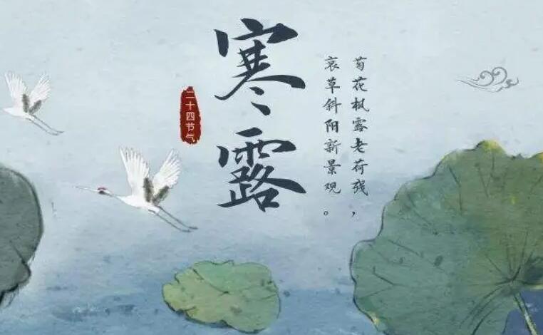 《支付宝》蚂蚁庄园10月8日：白居易诗句“袅袅凉风动,凄凄寒露零”描写的是哪个节气？