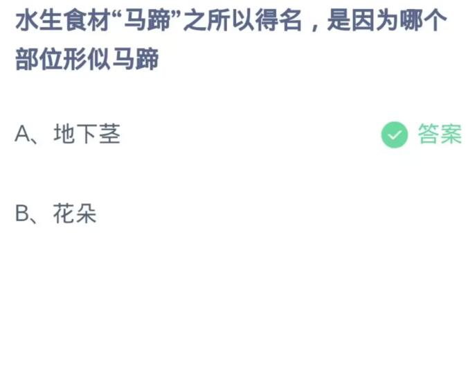  《支付宝》蚂蚁庄园11月1日：水生食材“马蹄