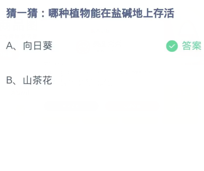  《支付宝》蚂蚁庄园11月5日：哪种植物能在盐碱地上存活？