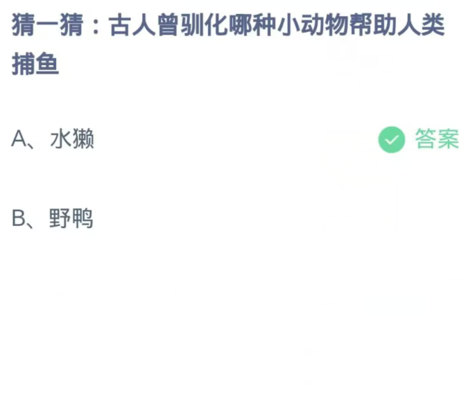 《支付宝》蚂蚁庄园11月11日：古人曾驯化哪种小动物帮助人类捕鱼？