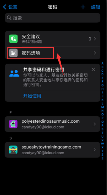 《ios17》自动删除验证码怎么设置