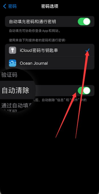 《ios17》自动删除验证码怎么设置