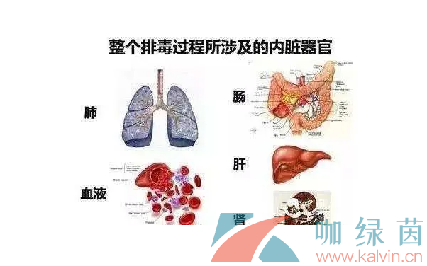 《支付宝》2023蚂蚁庄园每日问答分享大全