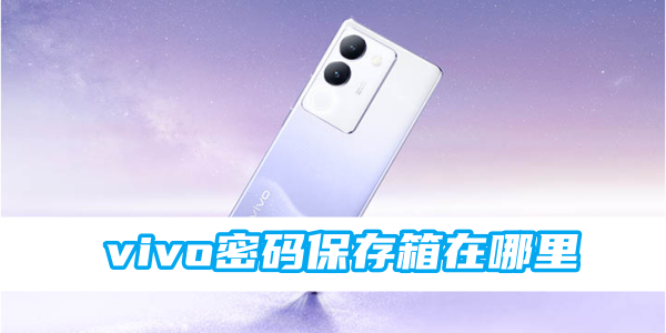 《vivo》密码保存箱在哪里