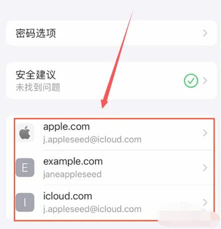 《苹果》怎么看存储的密码