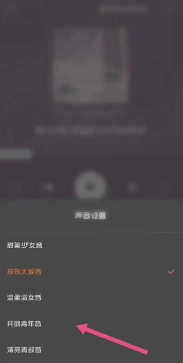 《番茄小说》听书怎么切换声音