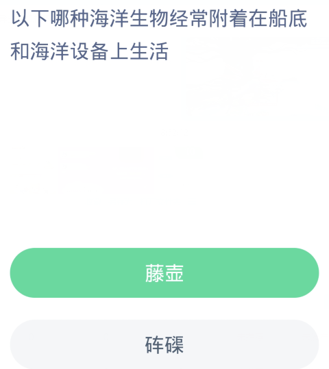 《支付宝》2024蚂蚁庄园神奇海洋每日问题分享汇总