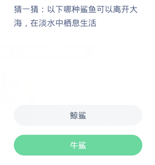 《支付宝》2024蚂蚁庄园神奇海洋每日问题分享汇总