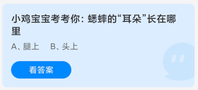 《支付宝》蚂蚁庄园2024分享汇总